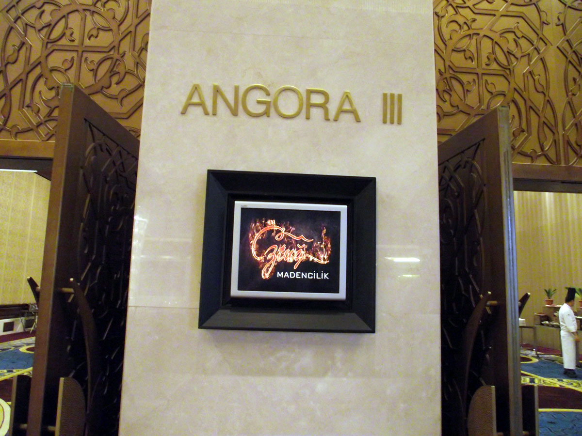 Angora III